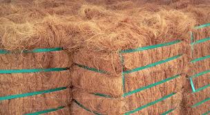 Coir Peat Bales